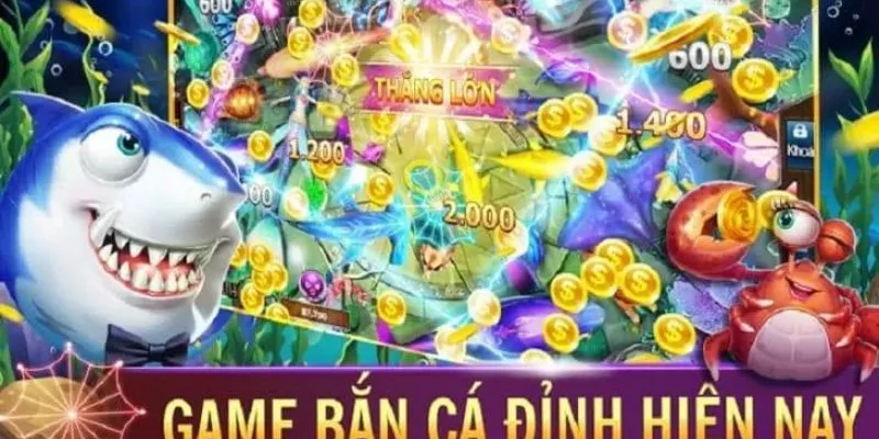 Các loại cá phổ biến và mẹo bắn được nhiều cá